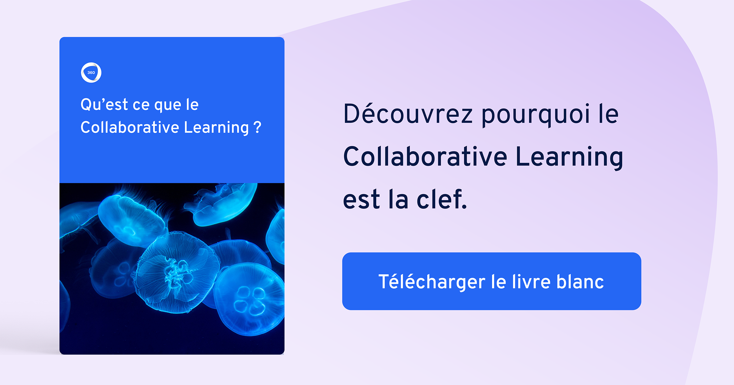 Livre blanc - Collaborative Learning