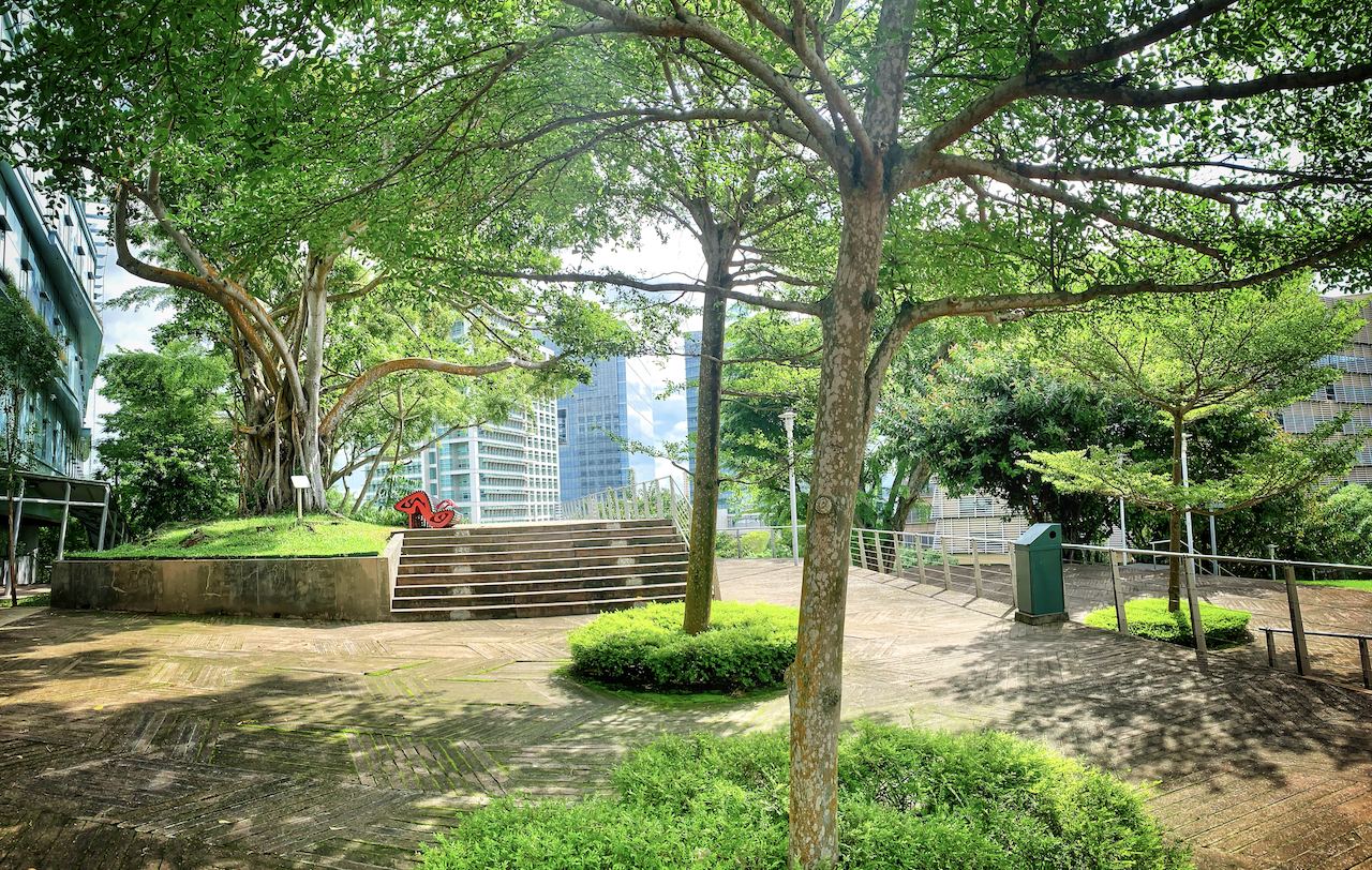 one-north park near blossoms by the park