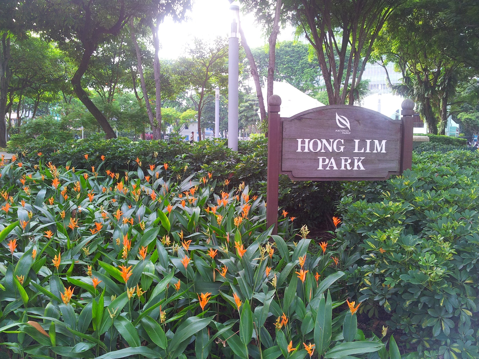 Hong Lim Park 