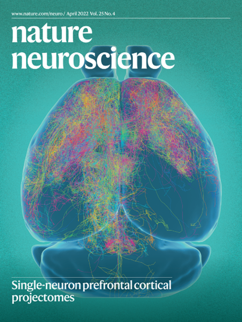 Nature Neuroscience期刊