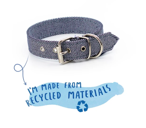 eco dog collar