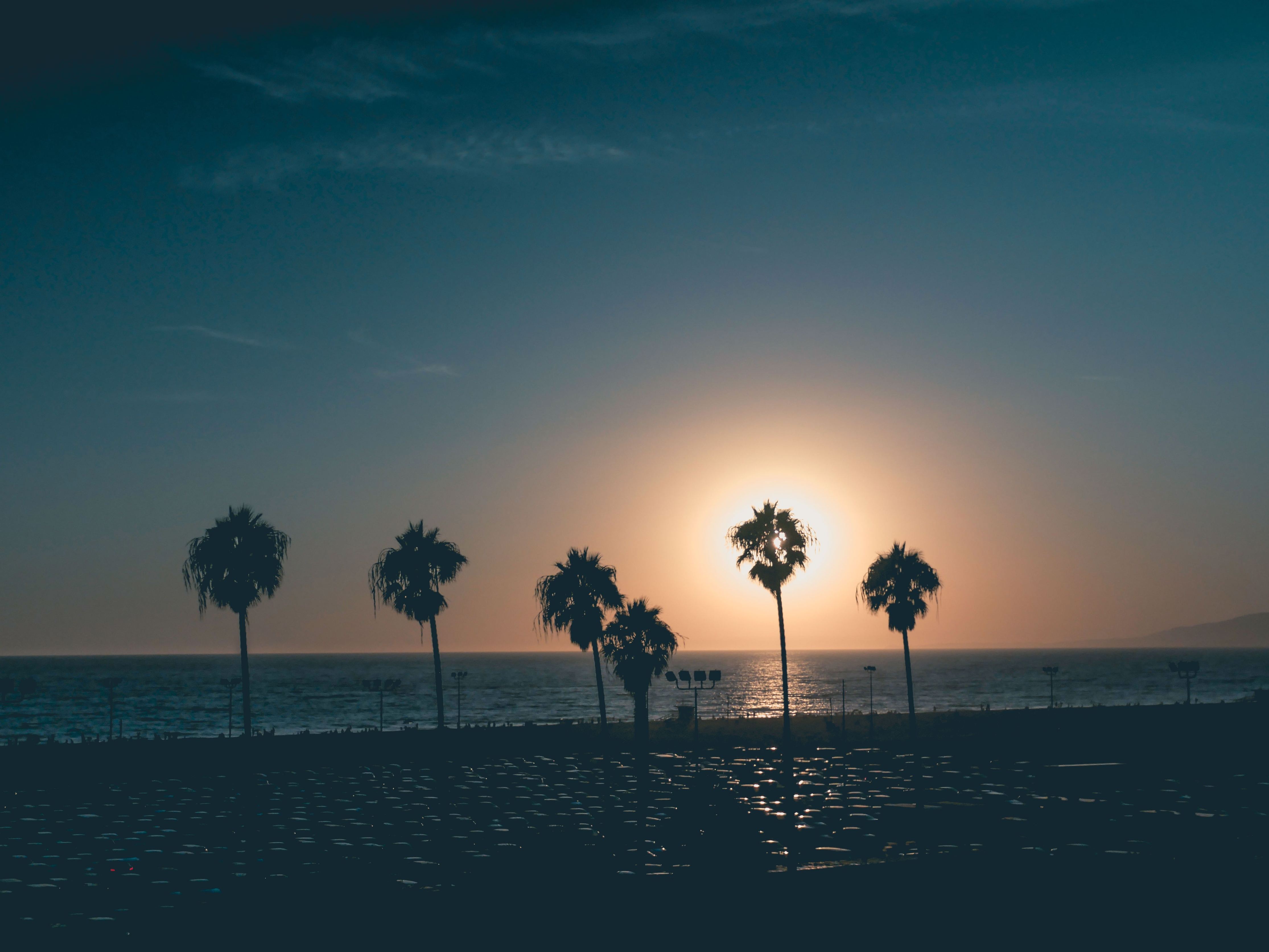 dusk sky over beach with palm trees