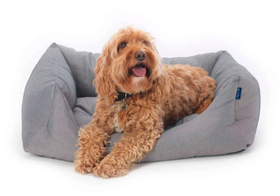 eco dog bed