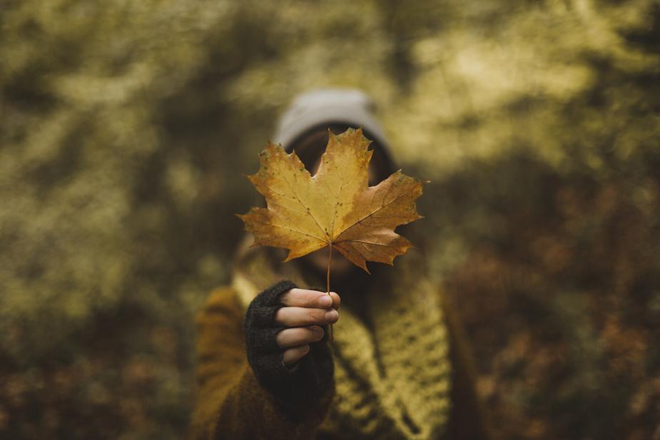 woman holding leaf in forest