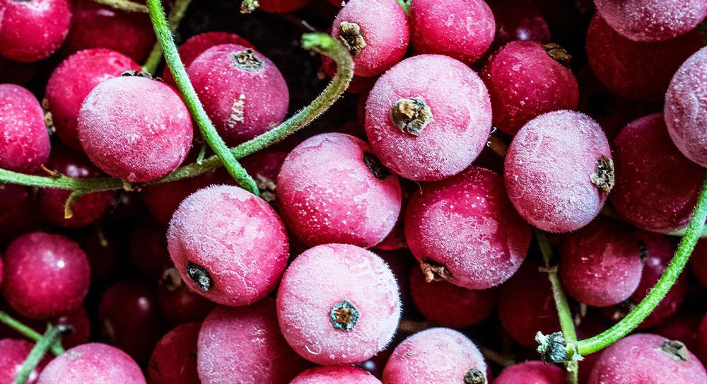 frozen berries 