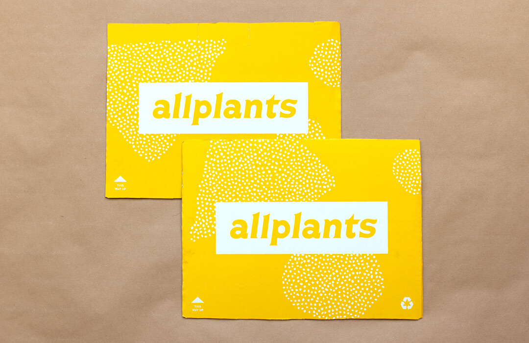 cardboard allplants box