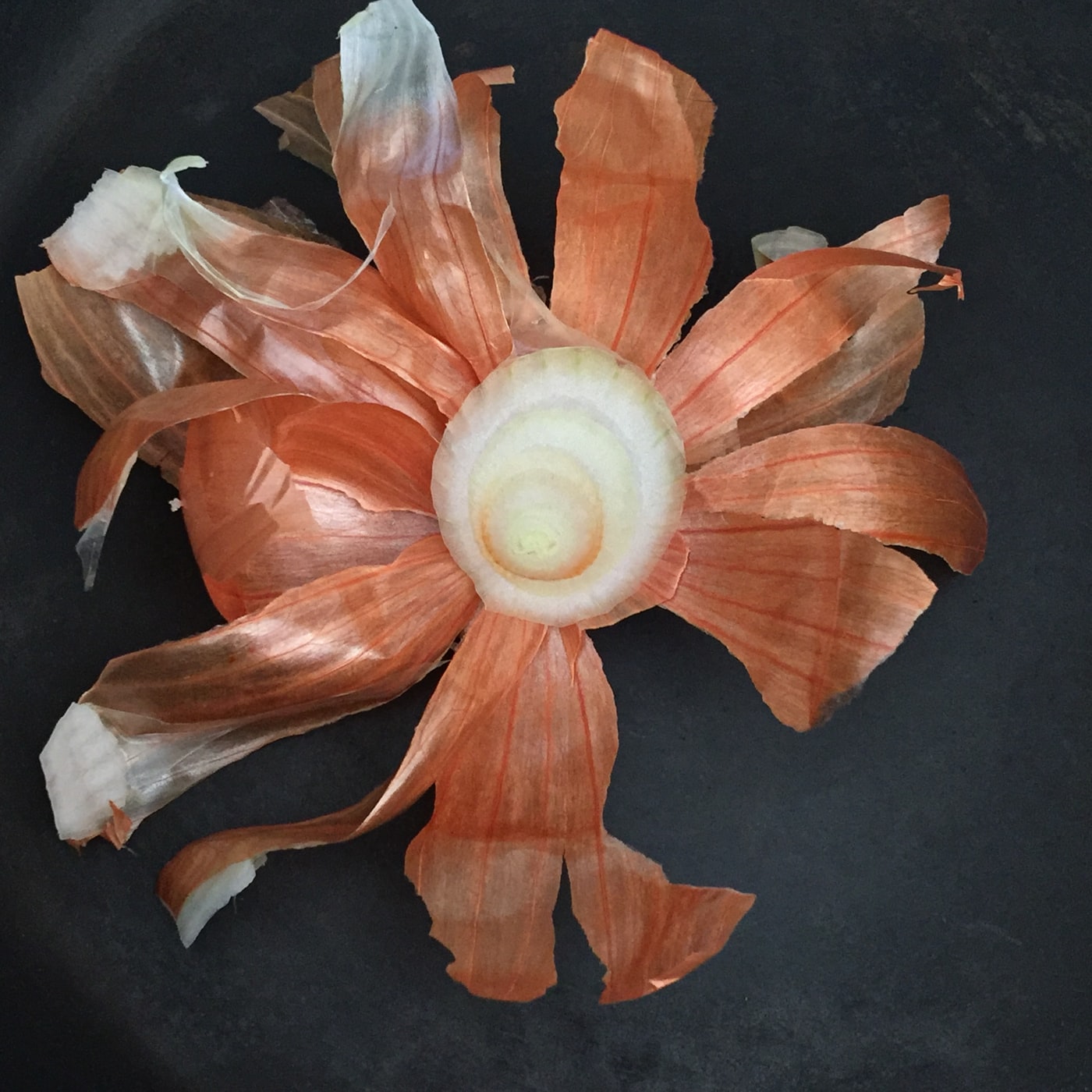 onion peel