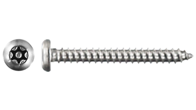 Stainless 6 Lobe with Pin Button Head Self Tapping Screw