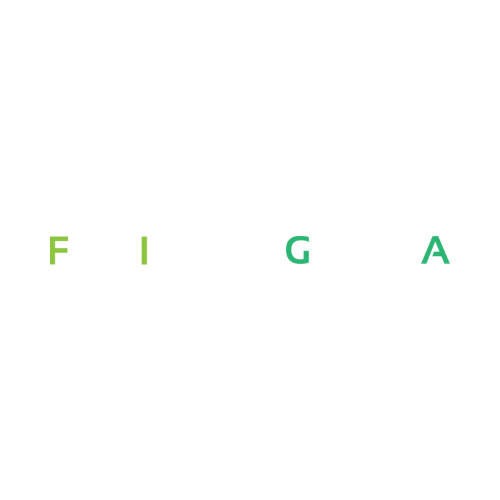 Film Impact Georgia