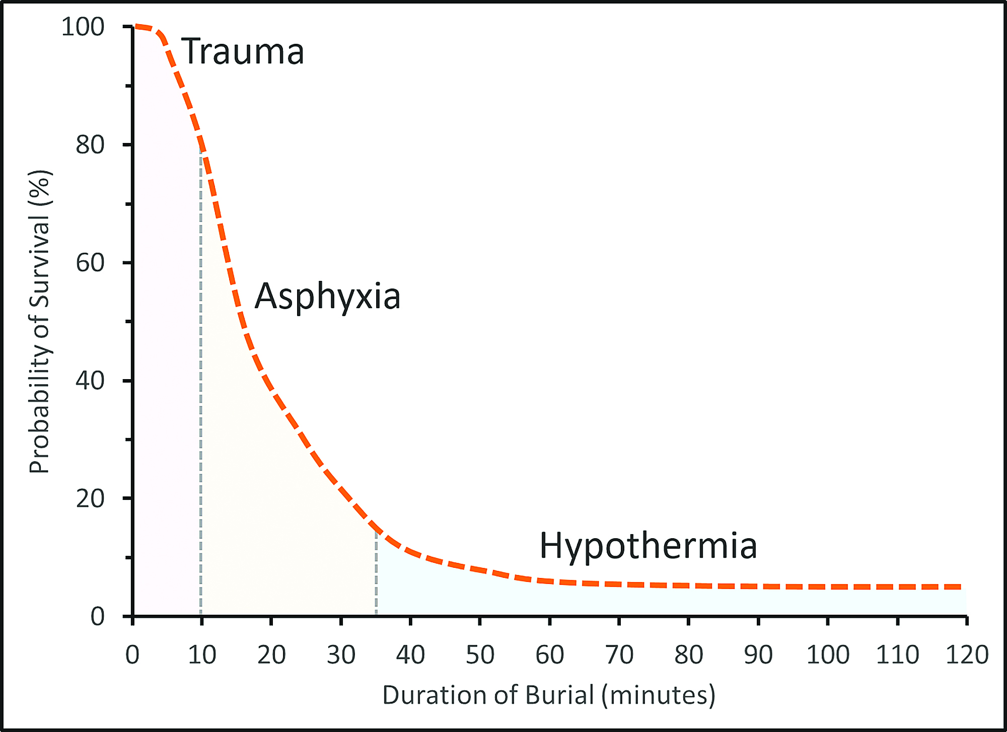 The avalanche survival curve. You have 10 minutes to rescue you someone during which there's an 80% chance of survival.