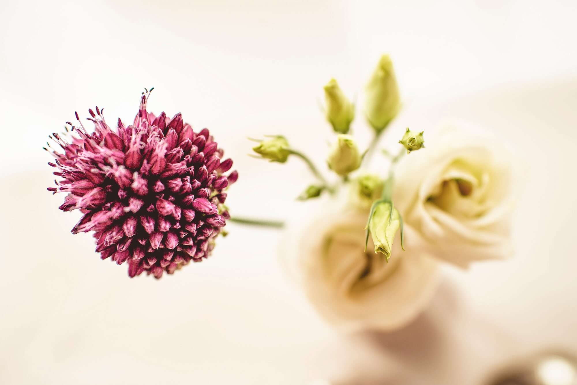 Datenschutzerklärung Ayurveda Klinik Kassel