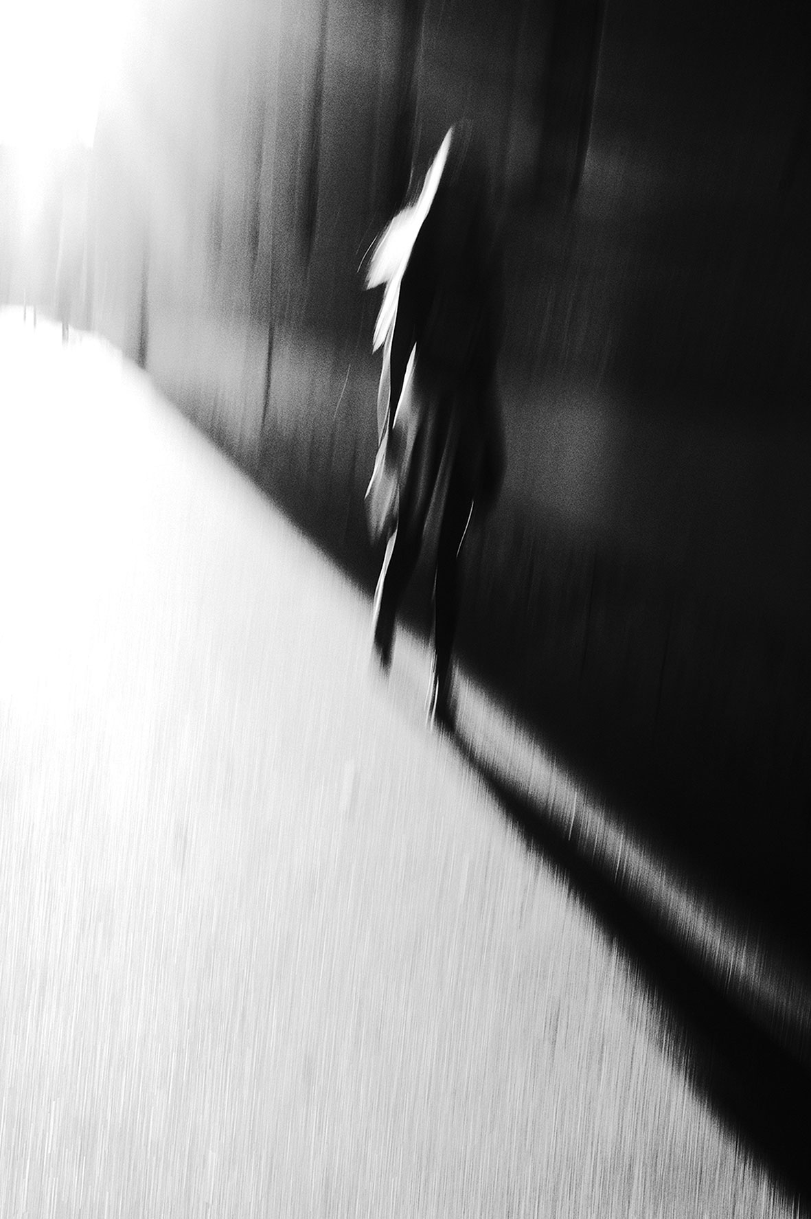 「olga karlovac」的圖片搜尋結果