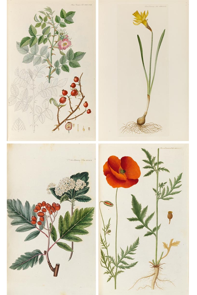 eb787e12-4ea6-4cd1-b4b0-