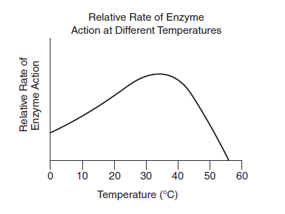 enzyme-temperatures-ap-biology-bio-barrons