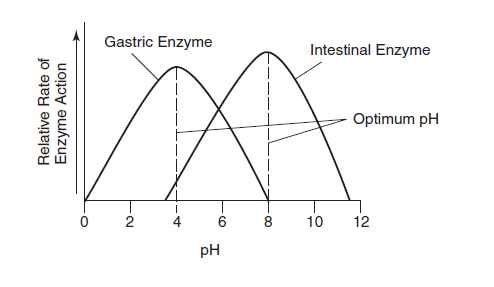 enzyme-ap-bio-biology-graph-chart-ph-study-expert-instructor-book-books-barrons