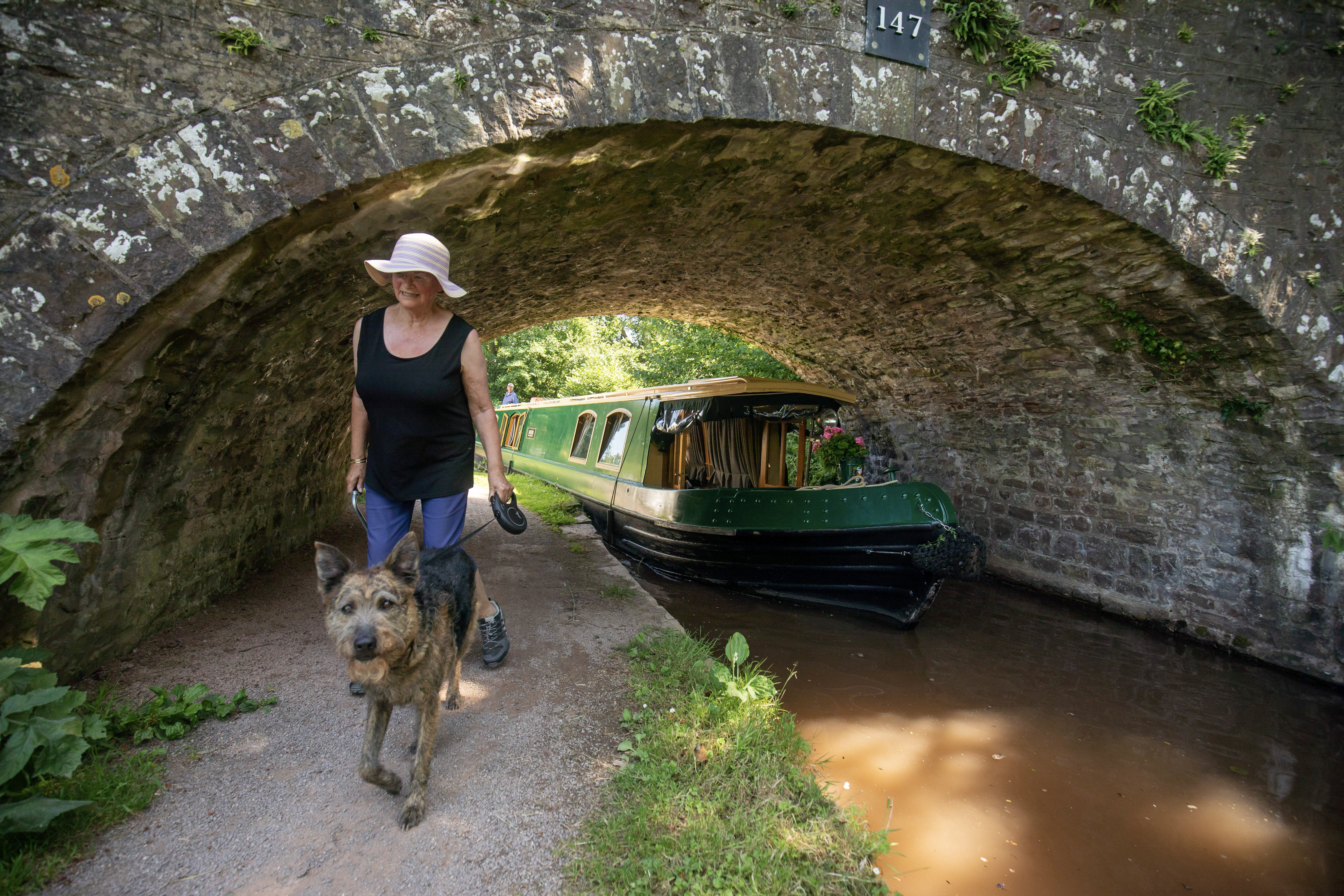 a dog with its owner walking on the towpath of the mon and brec canal alongside their narrowboat