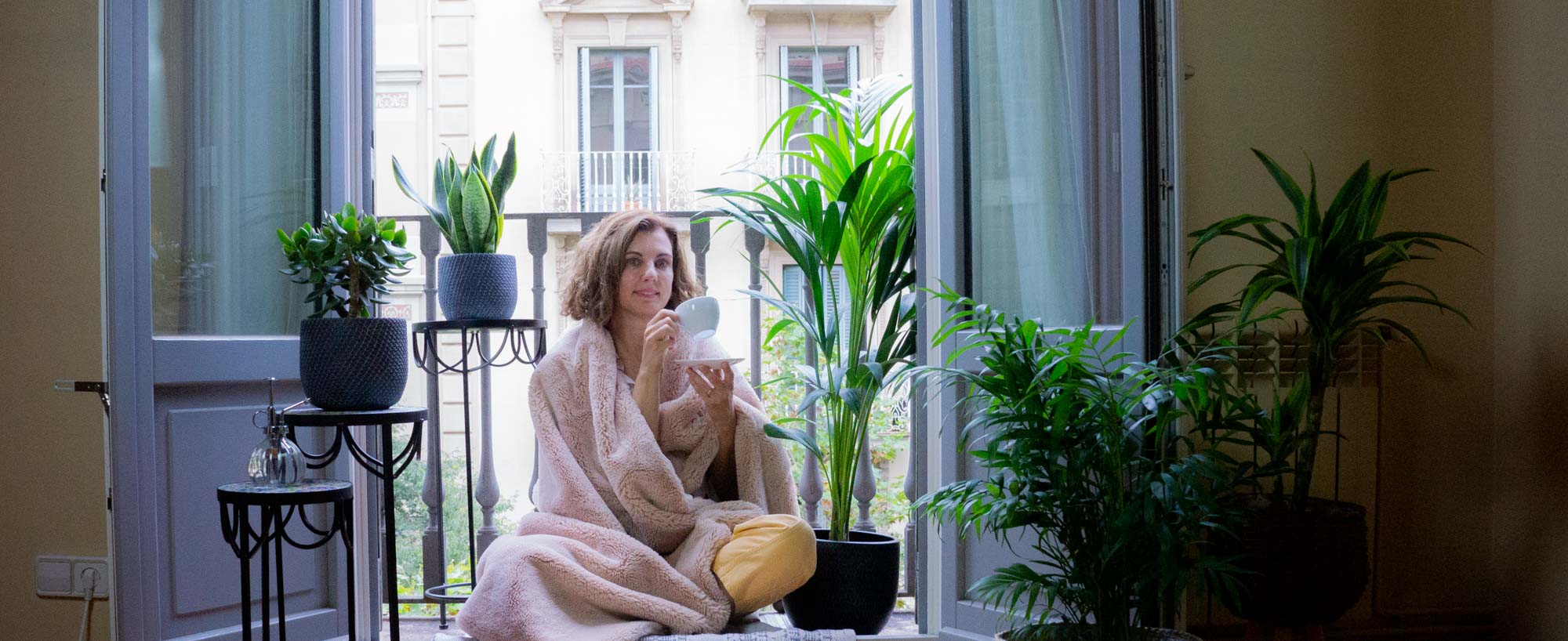 Mirabilis jalapa (Don Diego de noche, Don Pedros, Periquitos etc.), image size:2000x818