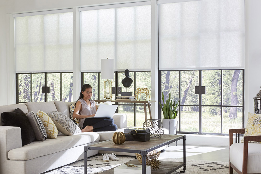 woman sitting on a couch with a laptop. Solar shades are over the windows.