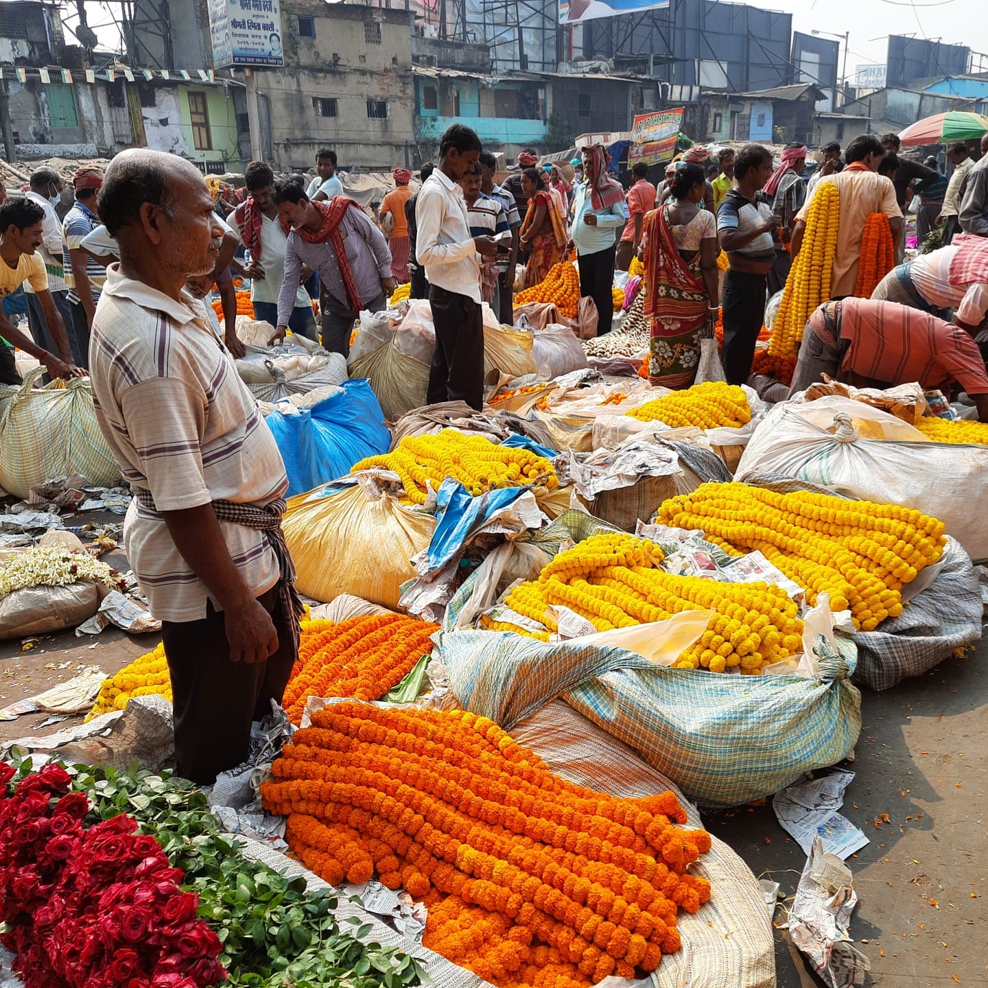 Mullick ghat flower market