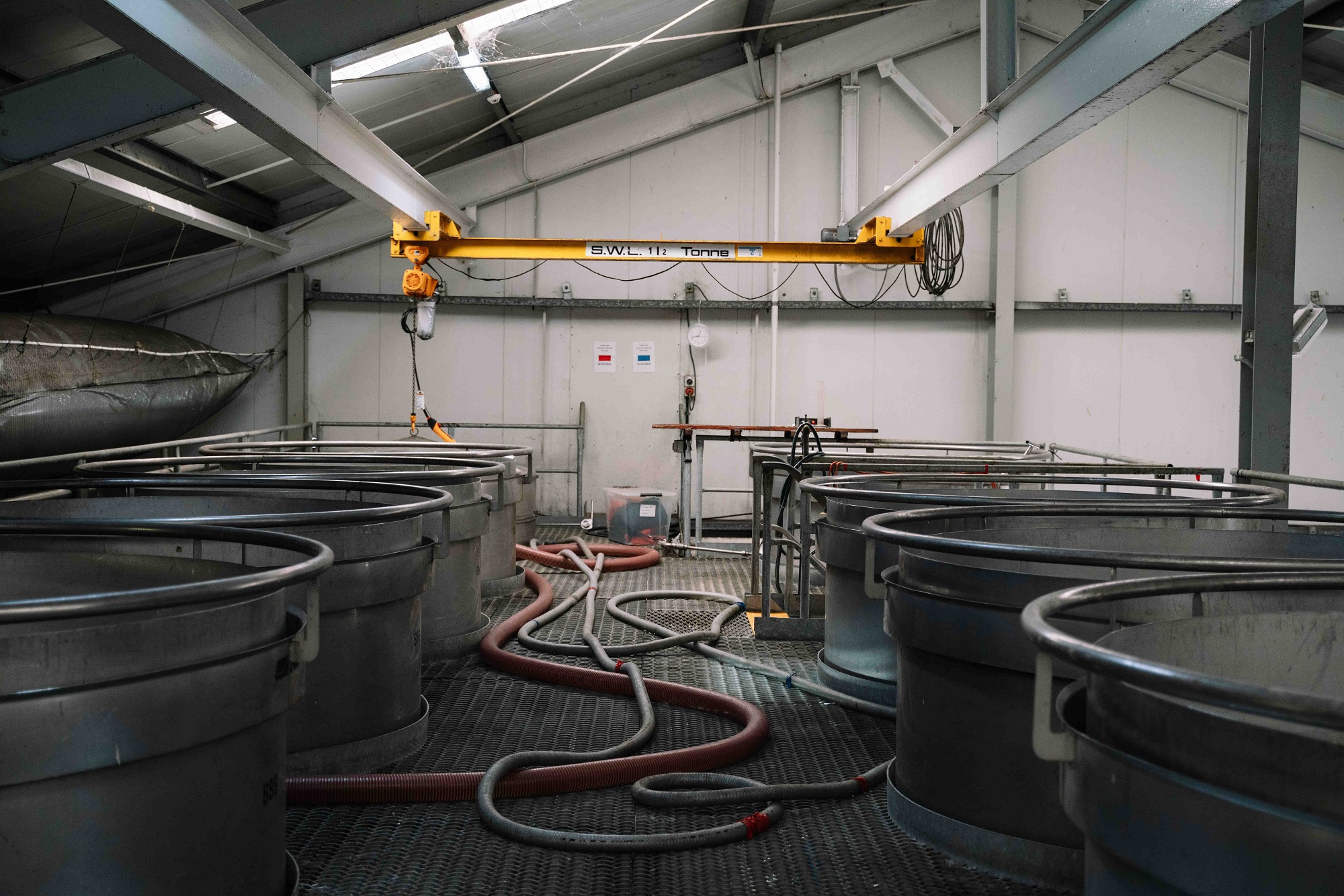 Tanks inside the Kindergarten Winery