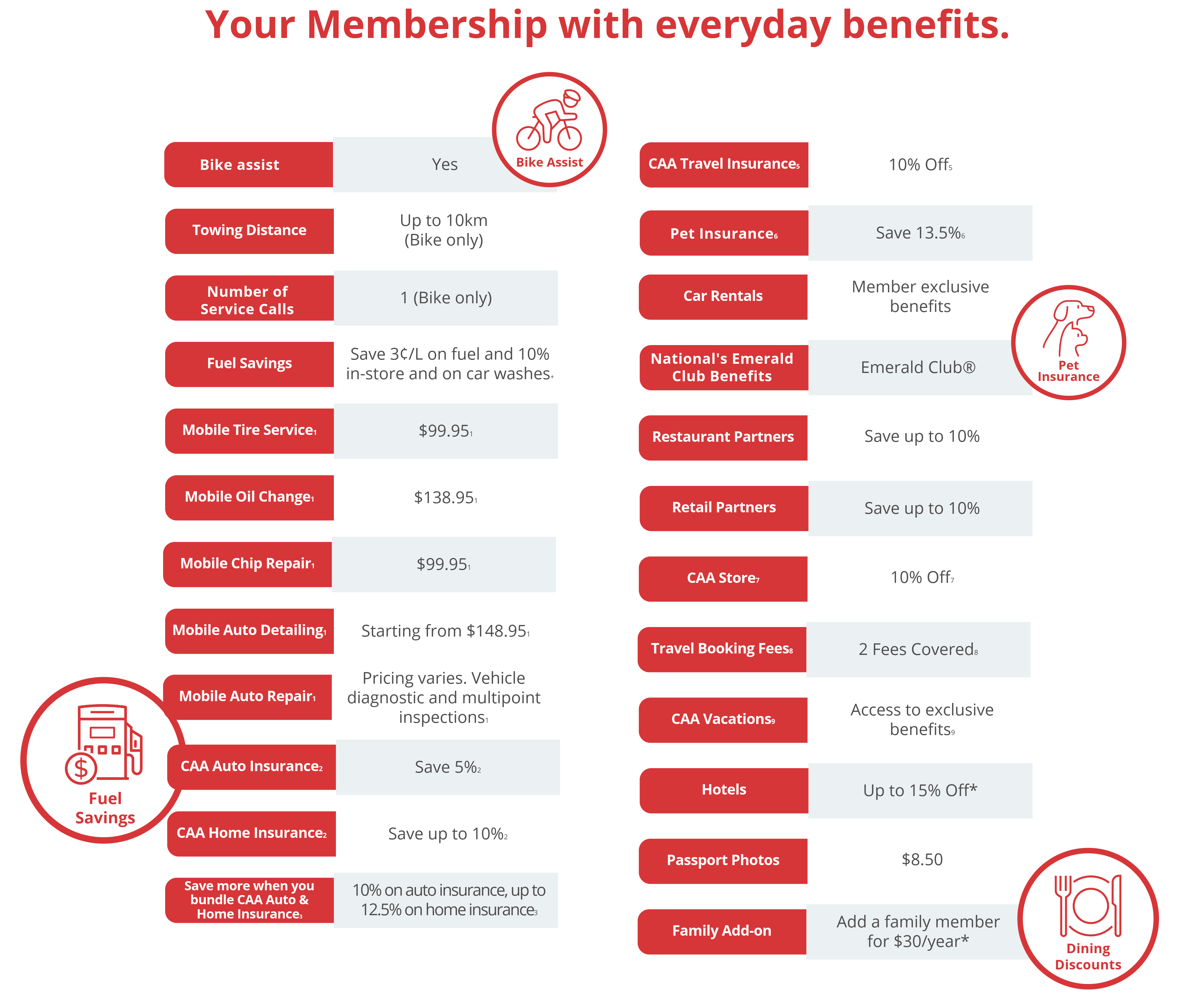Everyday Membership Chart 