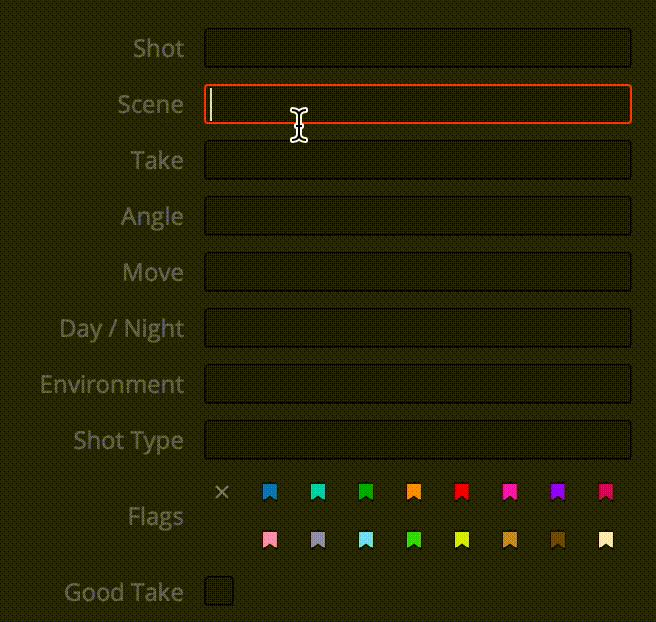 scene, shot, take metadata