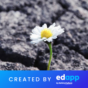 edapp resilience training - living a resilient life