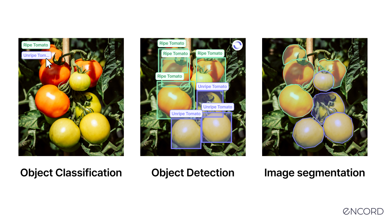 Object detection vs. Image classification vs. Image segmentation