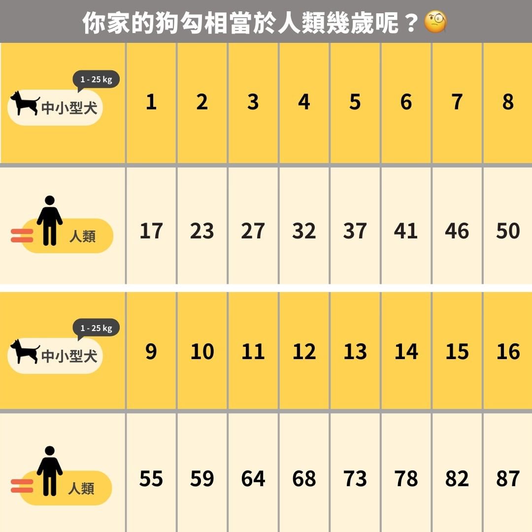 毛孩年齡算法