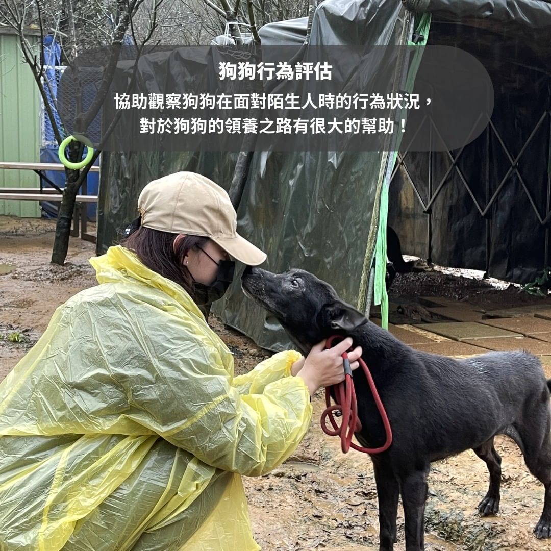 狗狗行為評估
