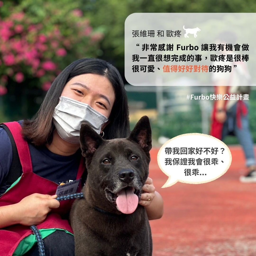 浪浪志工分享