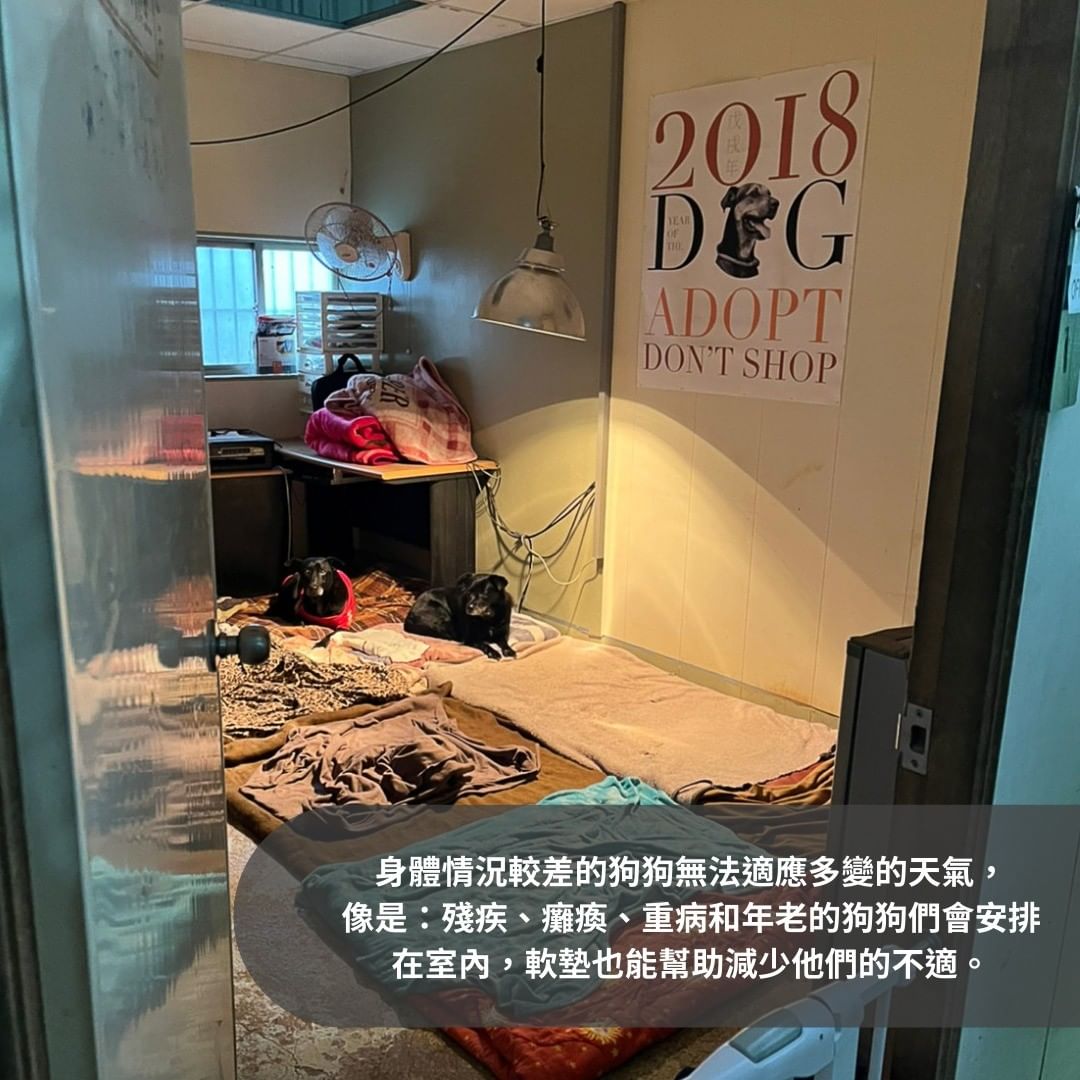 狗狗安心生活