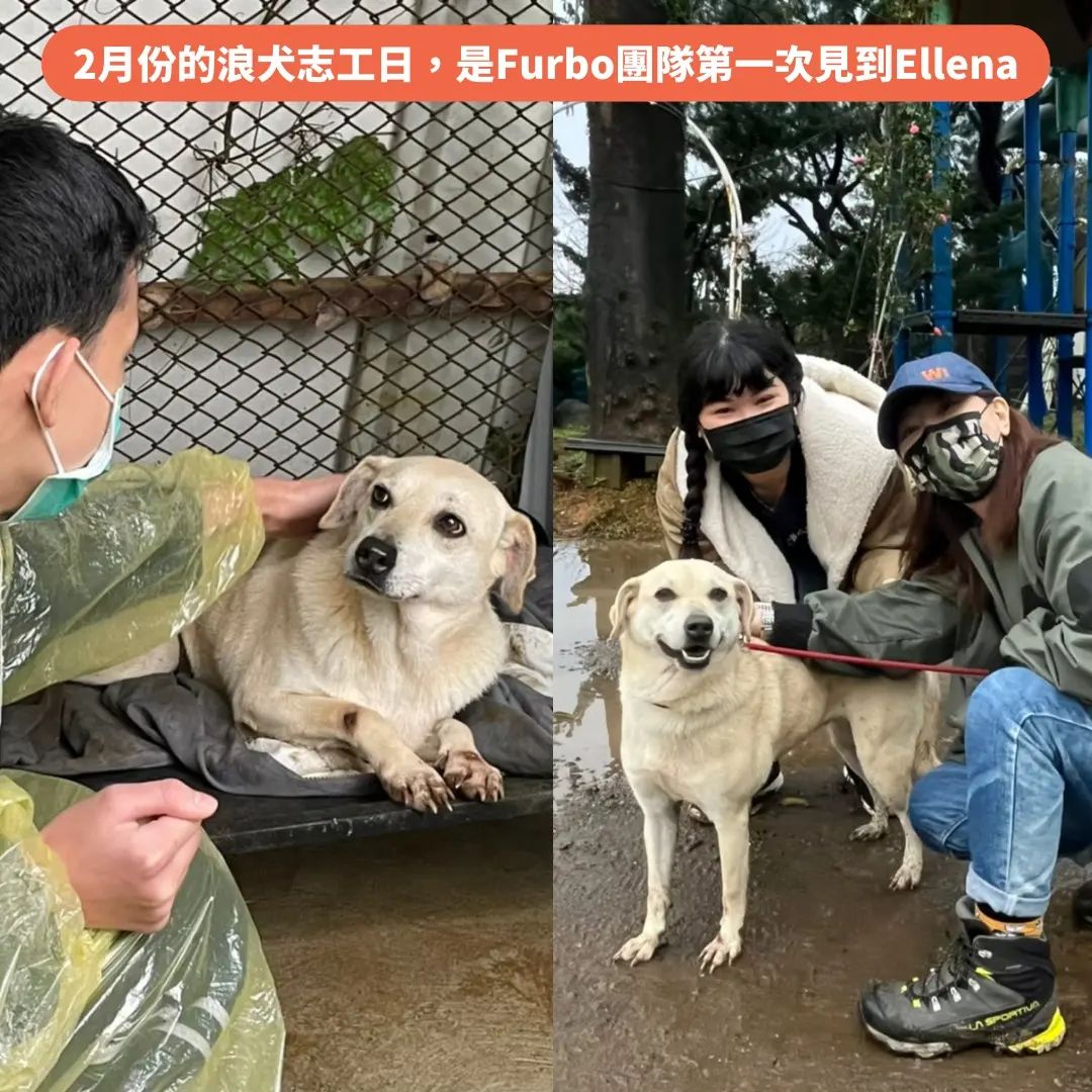 浪浪初次見面