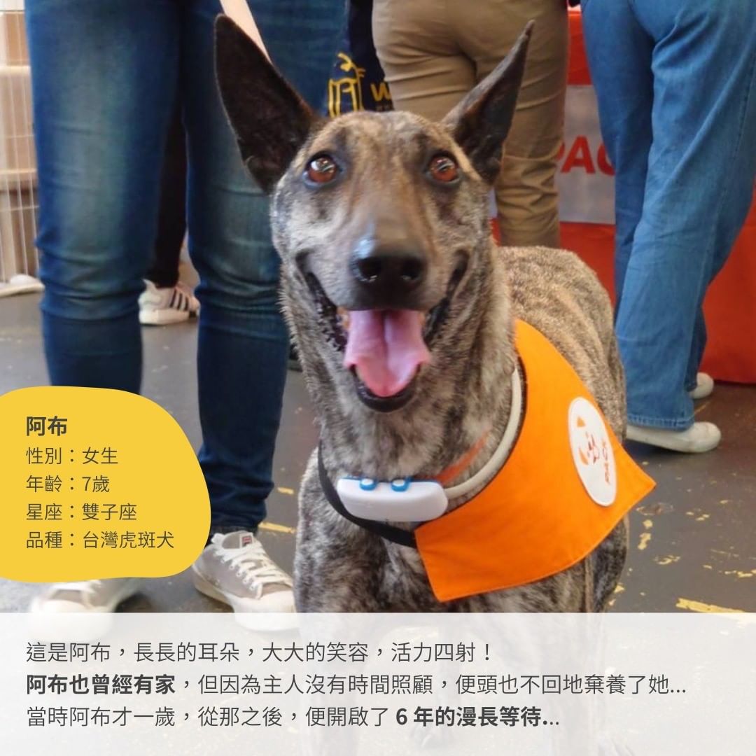 浪浪個人資料