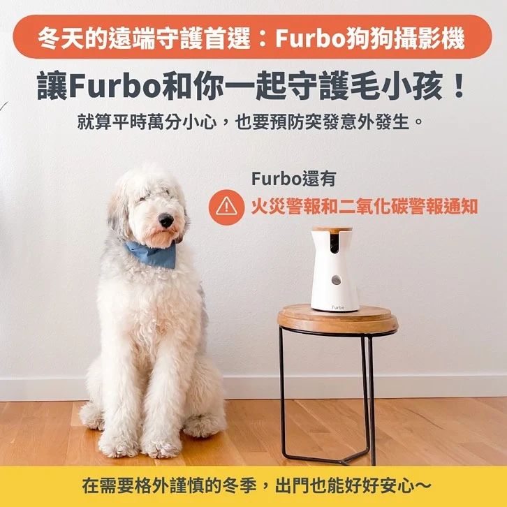 守護毛孩