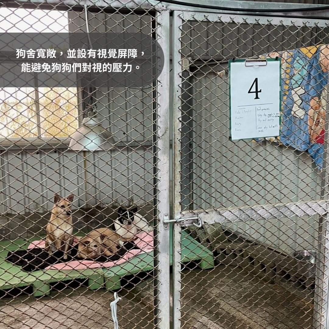 巴克幫狗舍