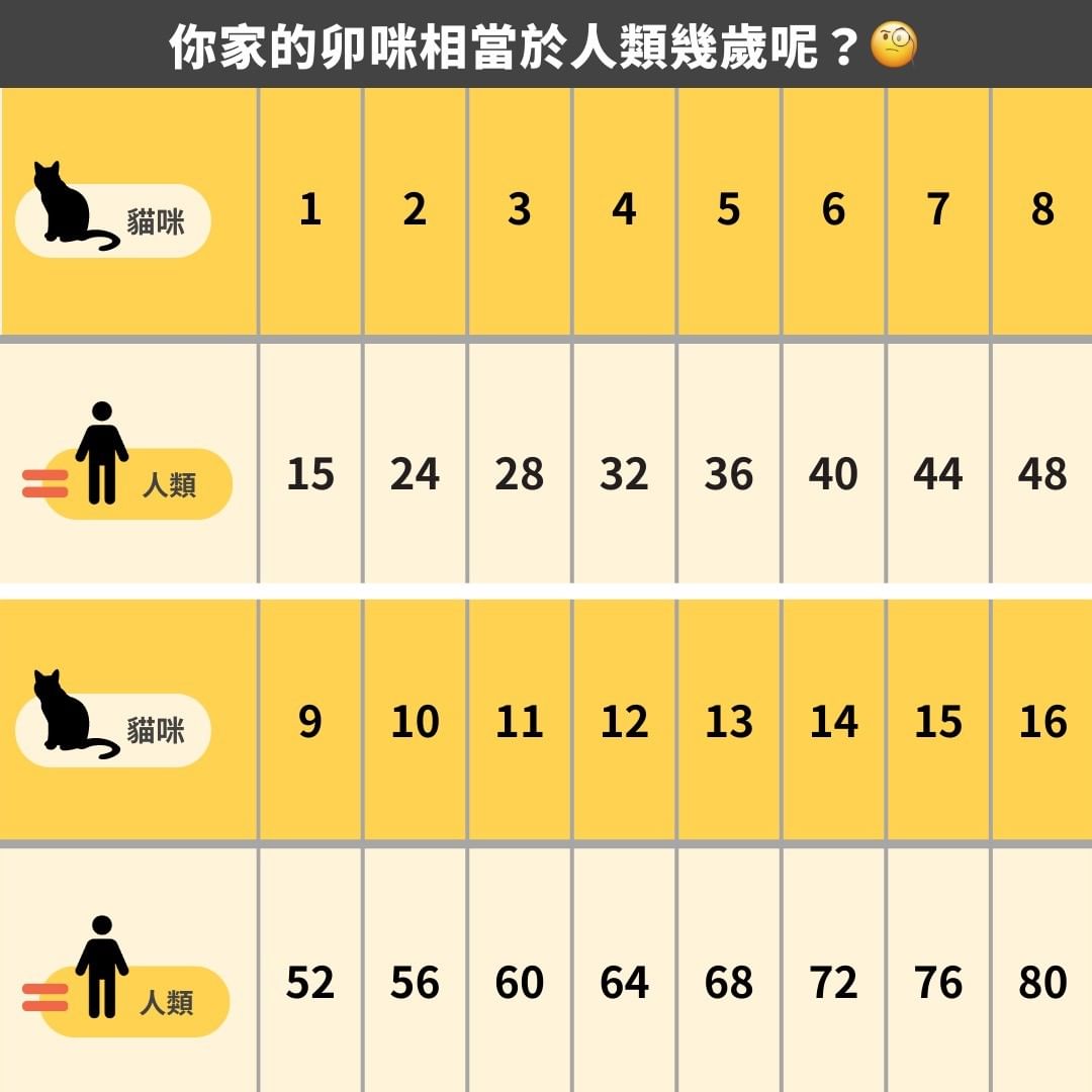 毛孩年齡算法