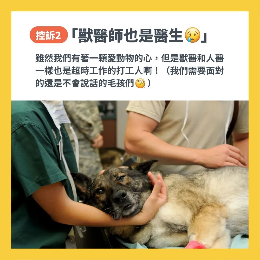 獸醫控訴