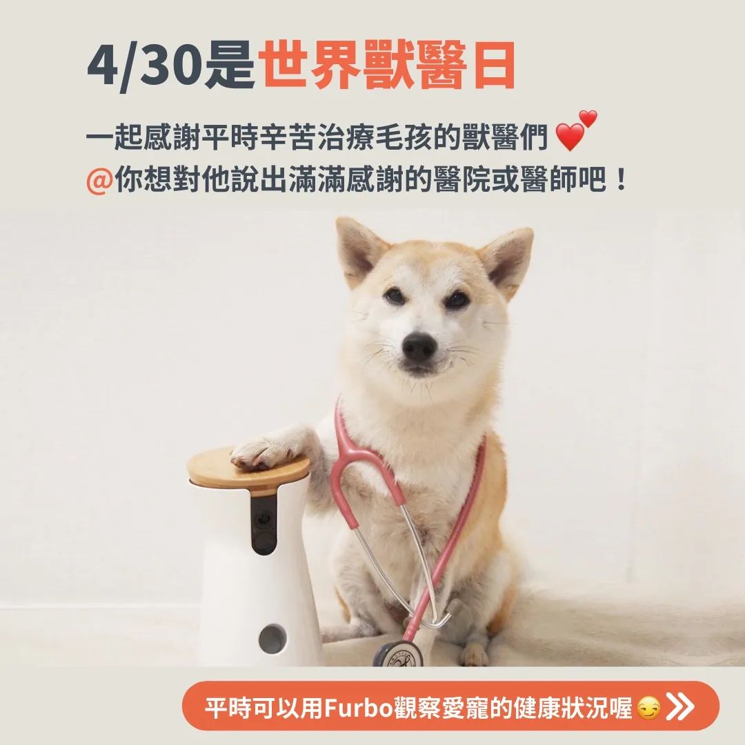 世界獸醫日