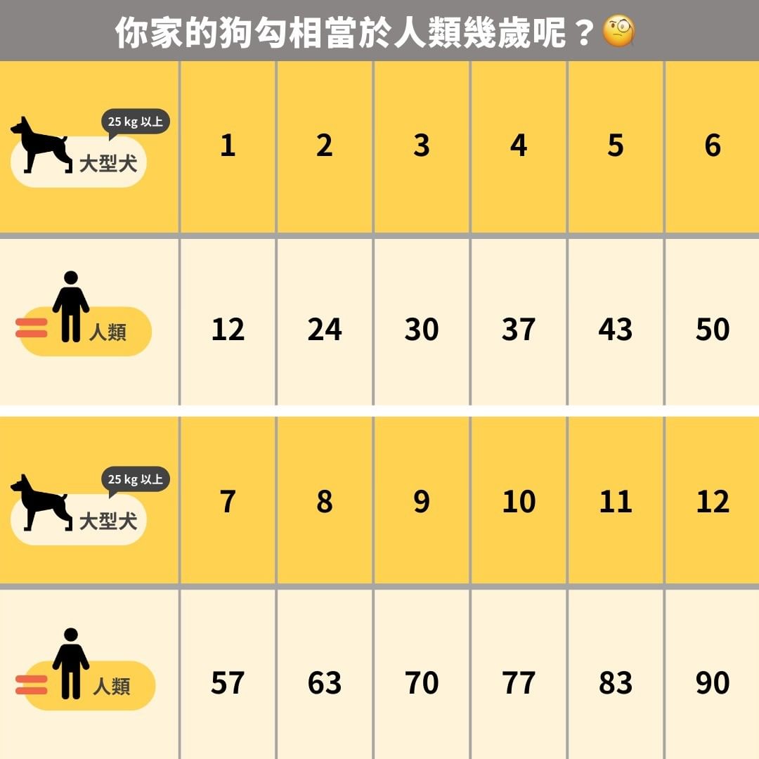 毛孩年齡算法