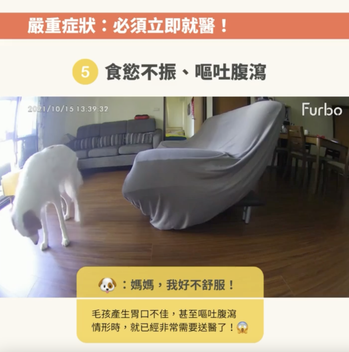 狗狗症狀