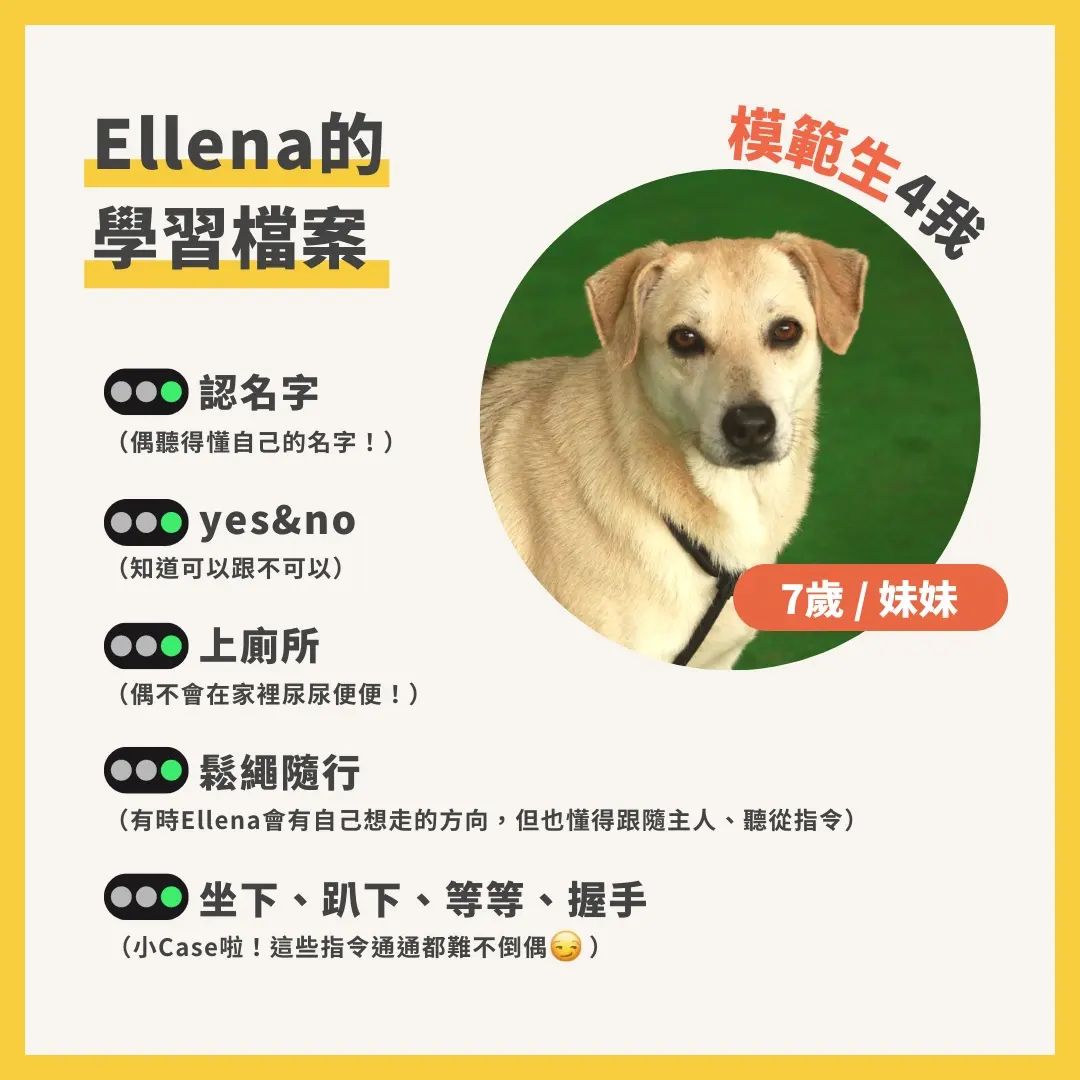 Ellena個人資料
