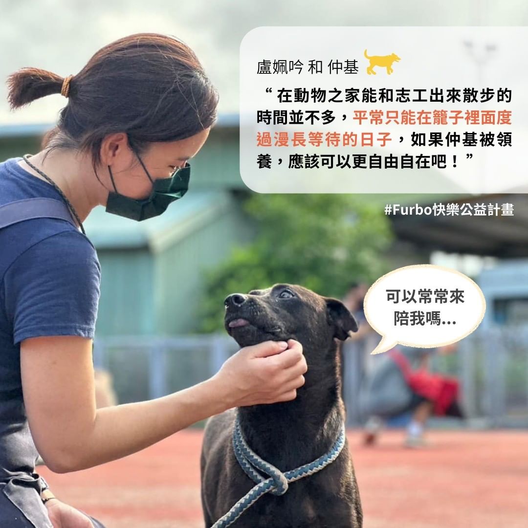 浪浪志工分享