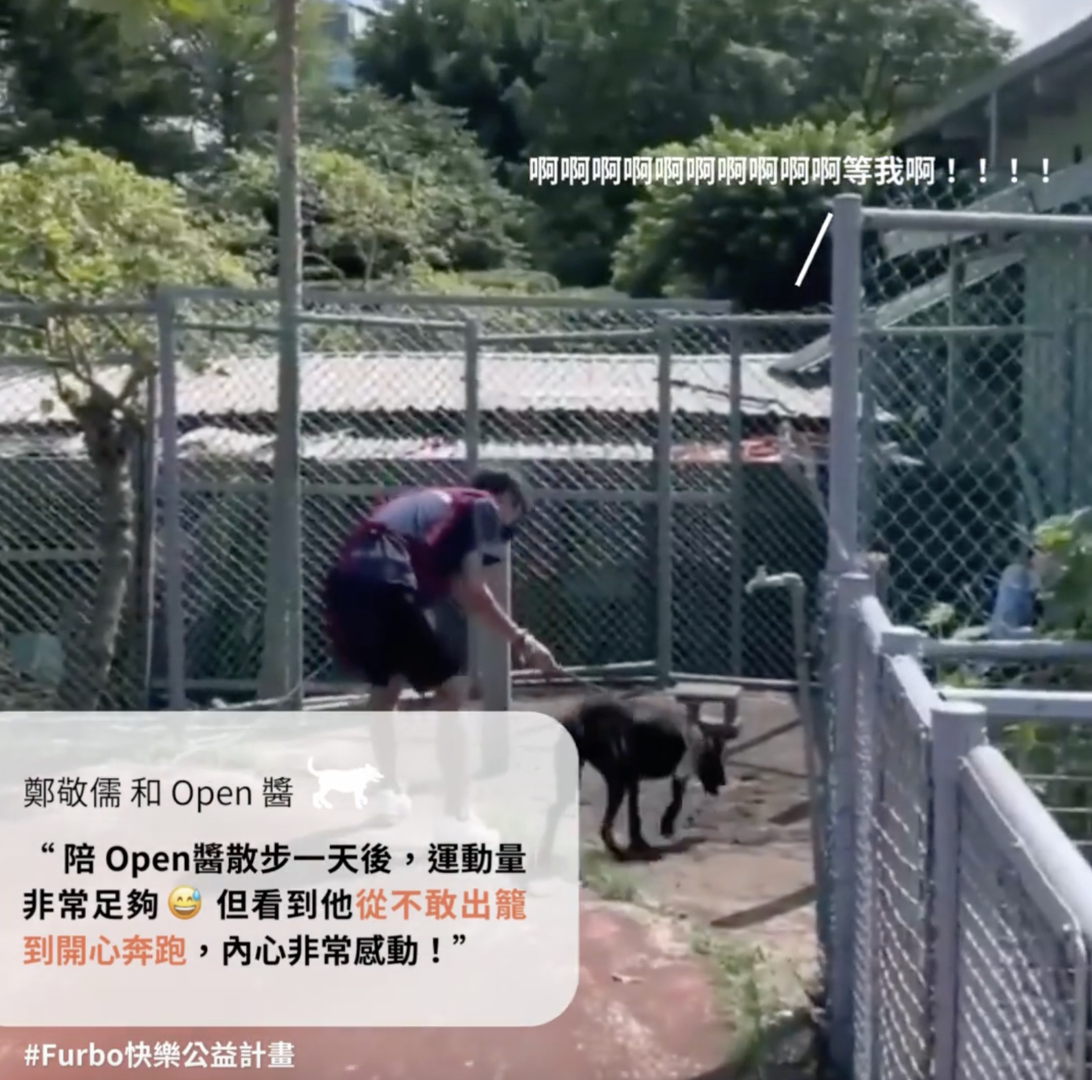 狗狗拖著人