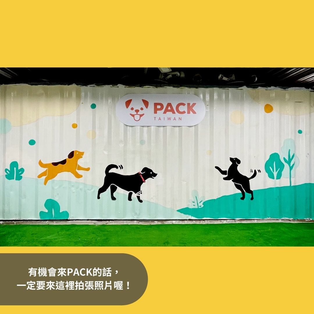 PACK彩繪牆