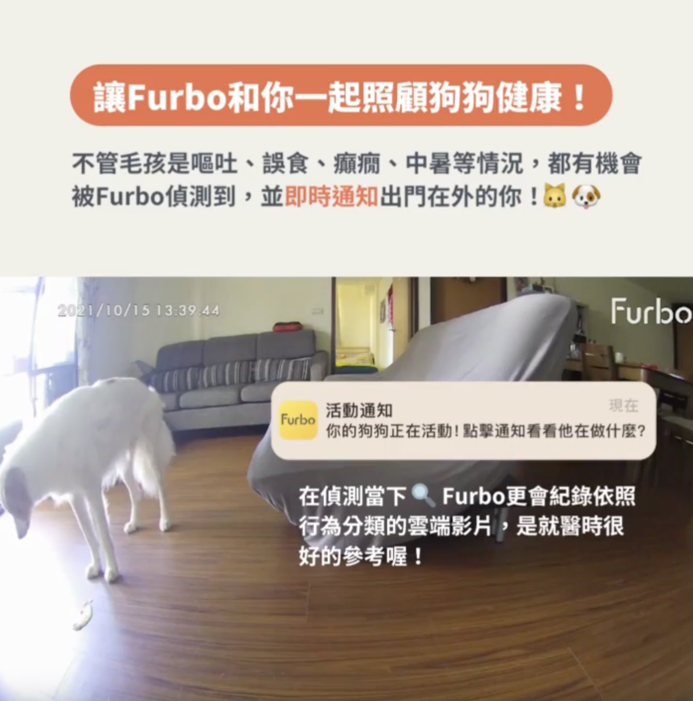 Furbo照顧狗狗健康