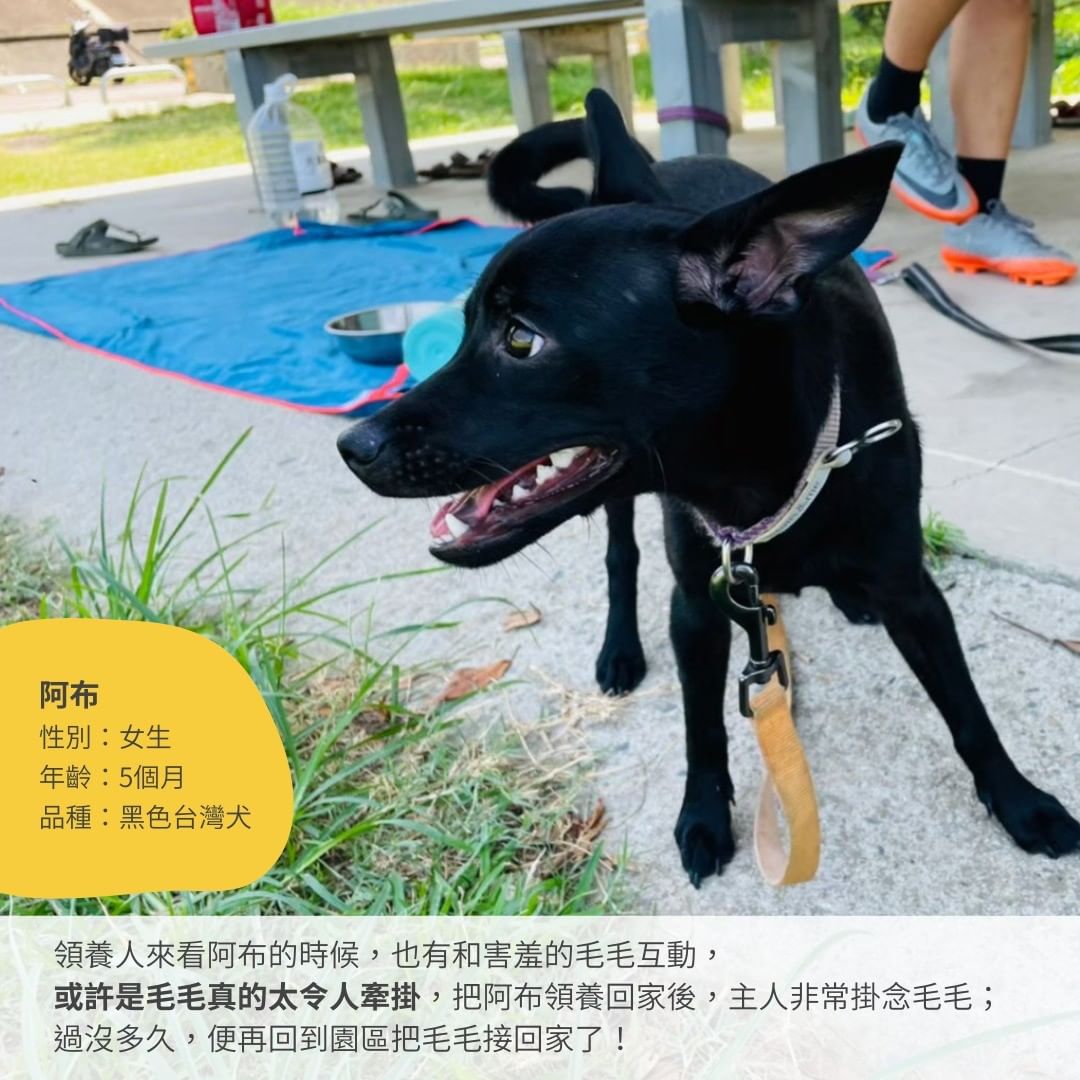 狗狗個資