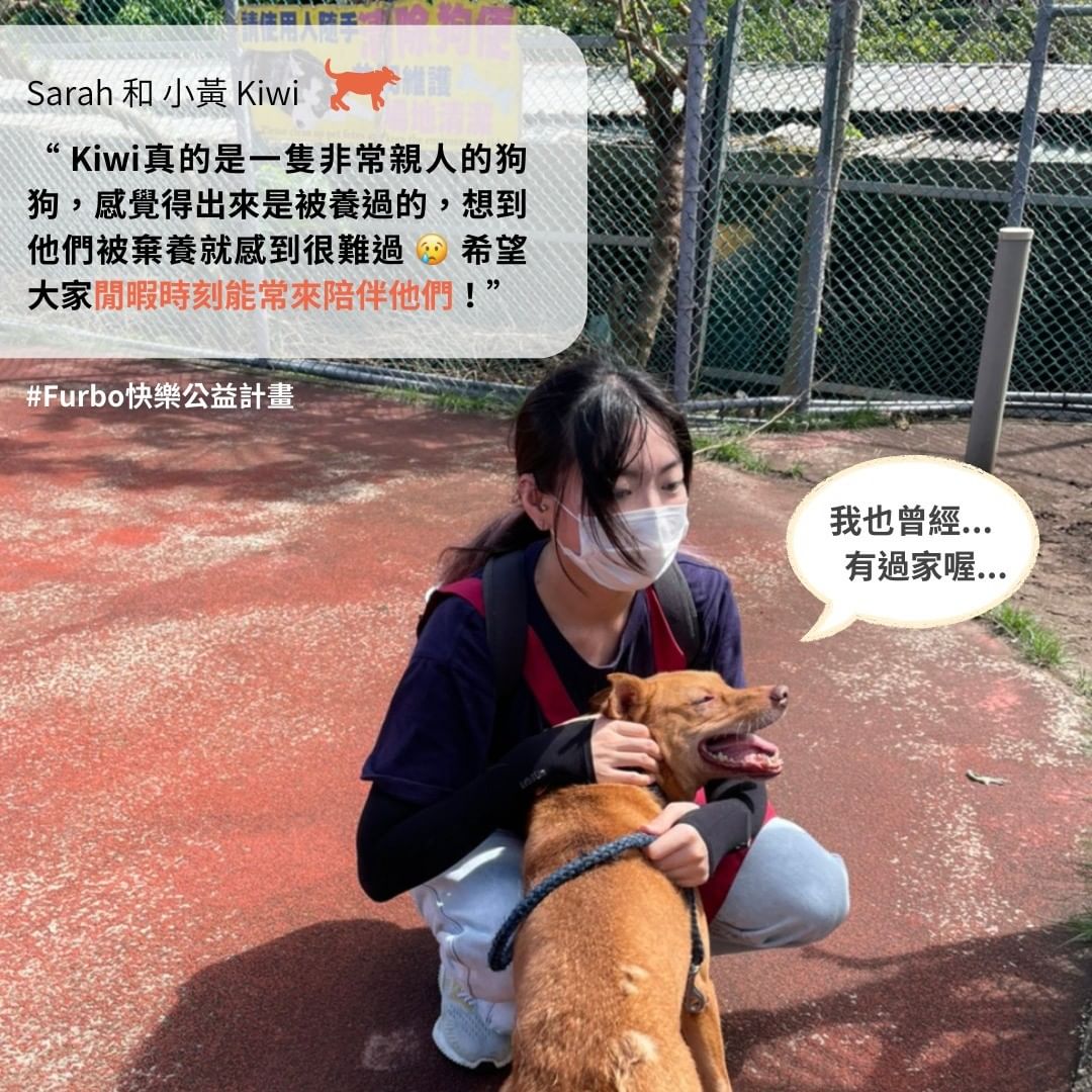 浪浪志工分享