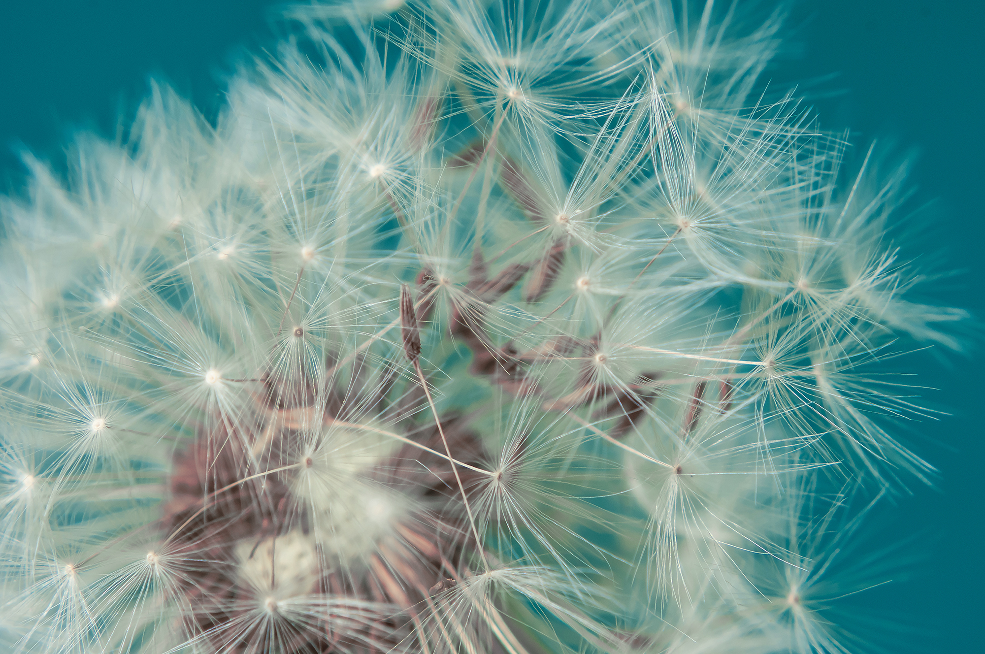 A higher standard for climate security and Sustainable Development for all