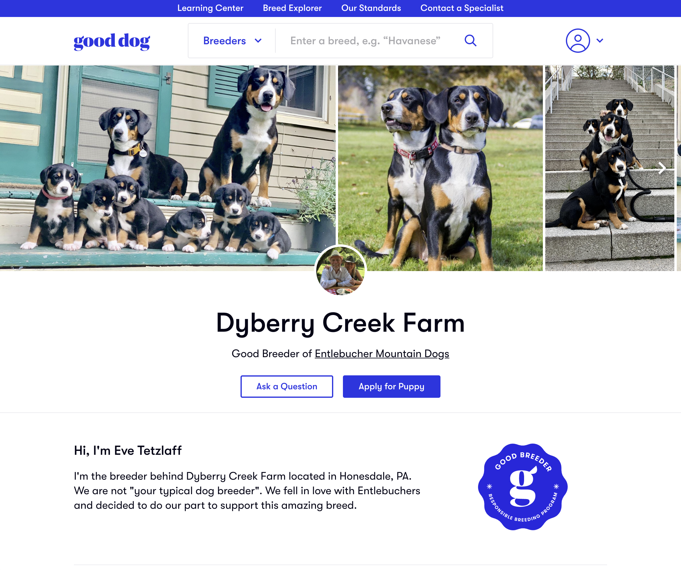 Screenshot of a completed Good Breeder profile